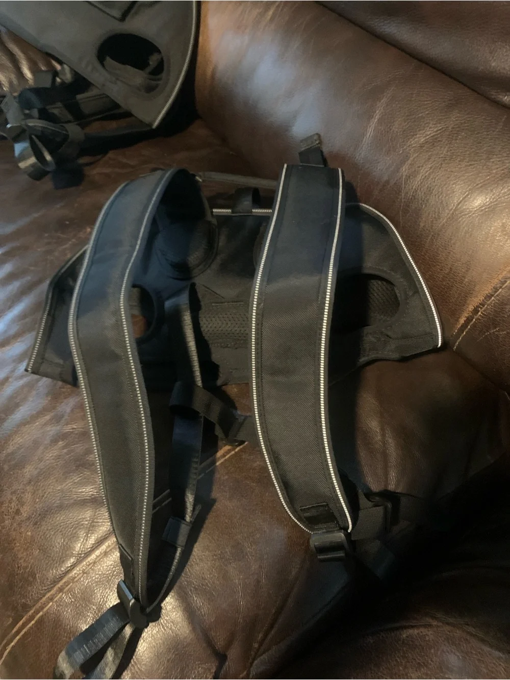 Black Medium dog backpack Carrier Bag